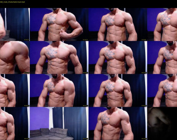 bestmuscle