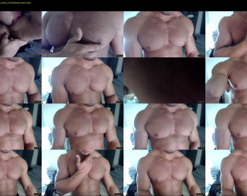 flex_x_x