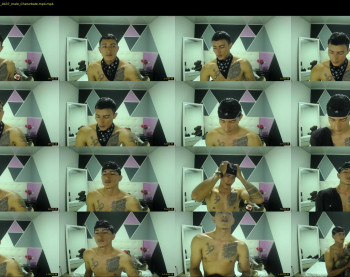 petter_cock01