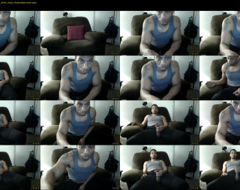 sharkdickwilly