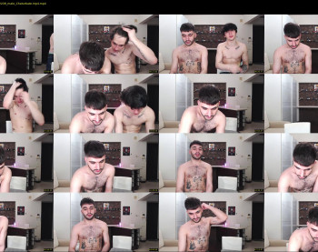 teddy_mode