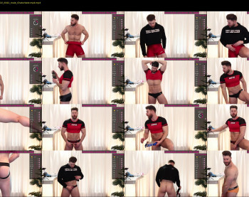 about_the_bulge