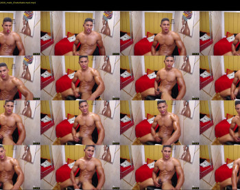 teddyfit19cm