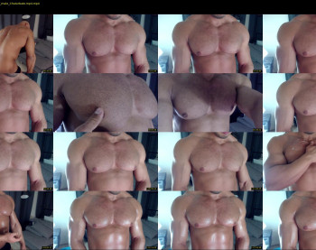 flex_x_x