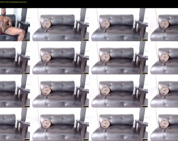 dalehamilton