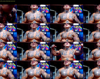 maxstephenx