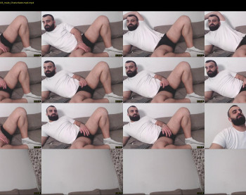 djefri_bear