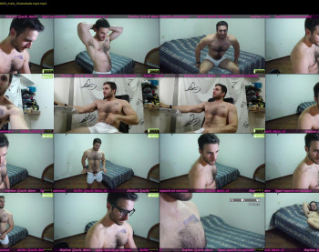 osito_blanco