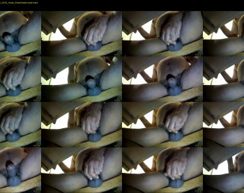 tomdickharry3