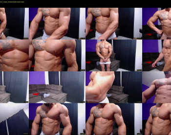 bestmuscle