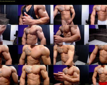 bestmuscle