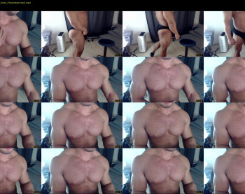flex_x_x