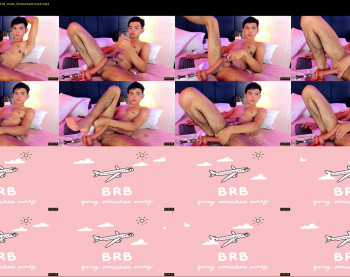 gameboys_