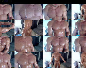 flex_x_x