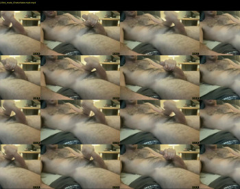 texas_stroker