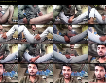 nehayadav8511