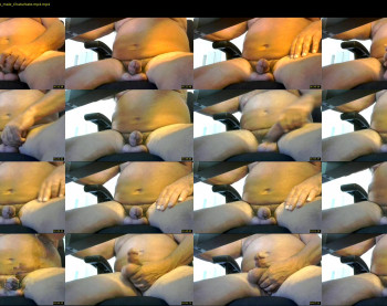 papabull