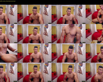 teddyfit19cm