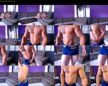 bestmuscle