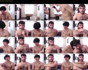 teddy_mode