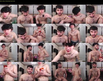 teddy_mode