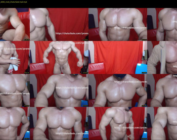 promuscles4u