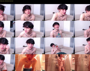 teddy_mode