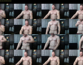 alvin_hunk