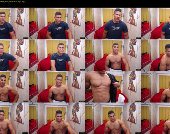 teddyfit19cm