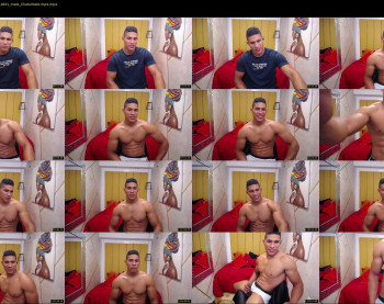 teddyfit19cm