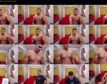 teddyfit19cm