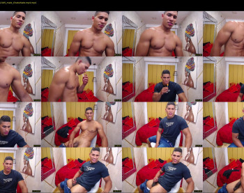 teddyfit19cm