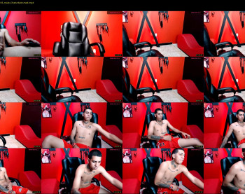 littus_wolf_
