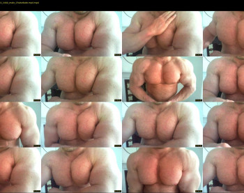 musclebullxx29