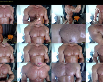 flex_x_x