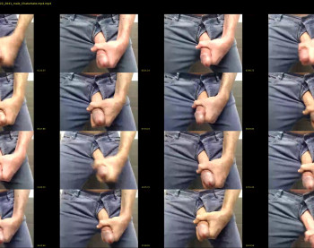 stallion8nyc
