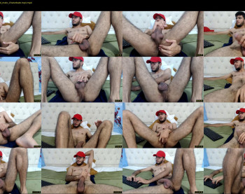 bear_21s