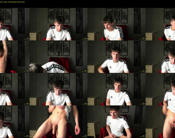 david_stain