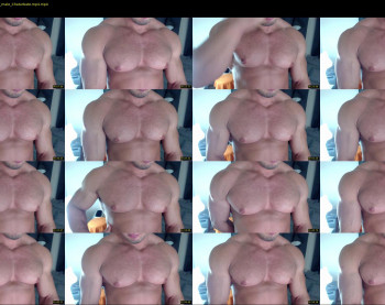 flex_x_x