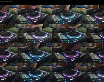reticuli