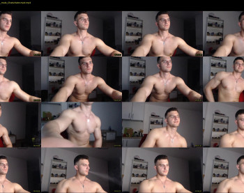 ryanflex