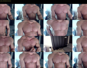 flex_x_x