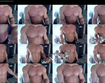 flex_x_x