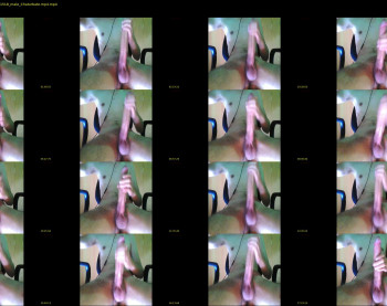 lux_ff