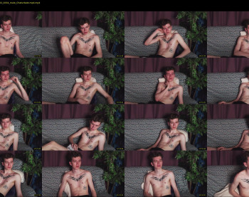 matthewcollinss