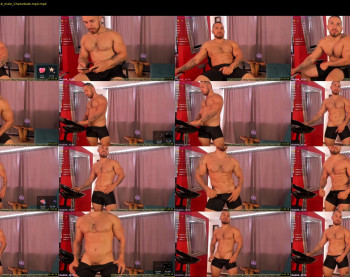 mason_fit