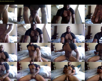 sheed8019