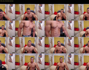 teddyfit19cm