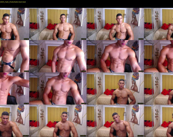 teddyfit19cm