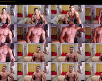 teddyfit19cm
